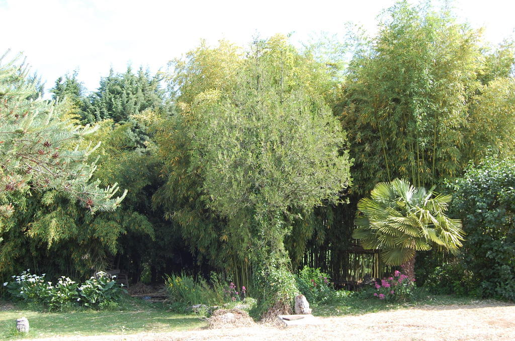 Gite Le Gre Chantemerle-les-Grignan Exterior photo