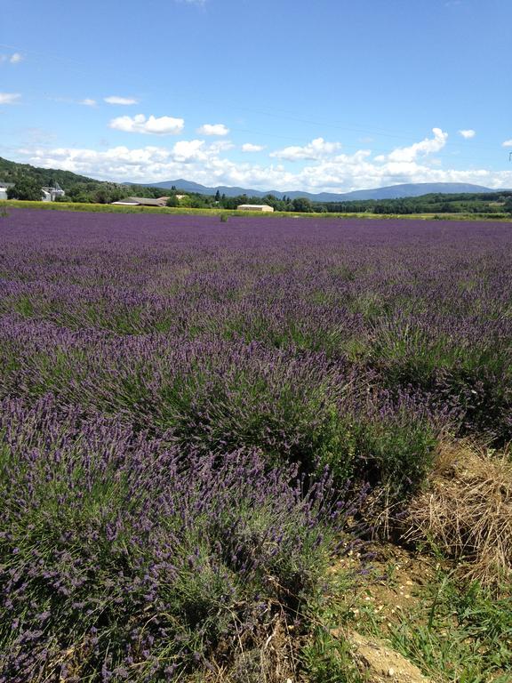 Gite Le Gre Chantemerle-les-Grignan Exterior photo